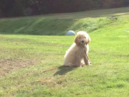 first time at the bay