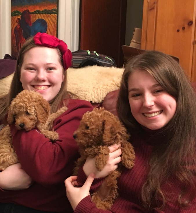 8B994502-0600-4893-A12F-1F307F8C2717