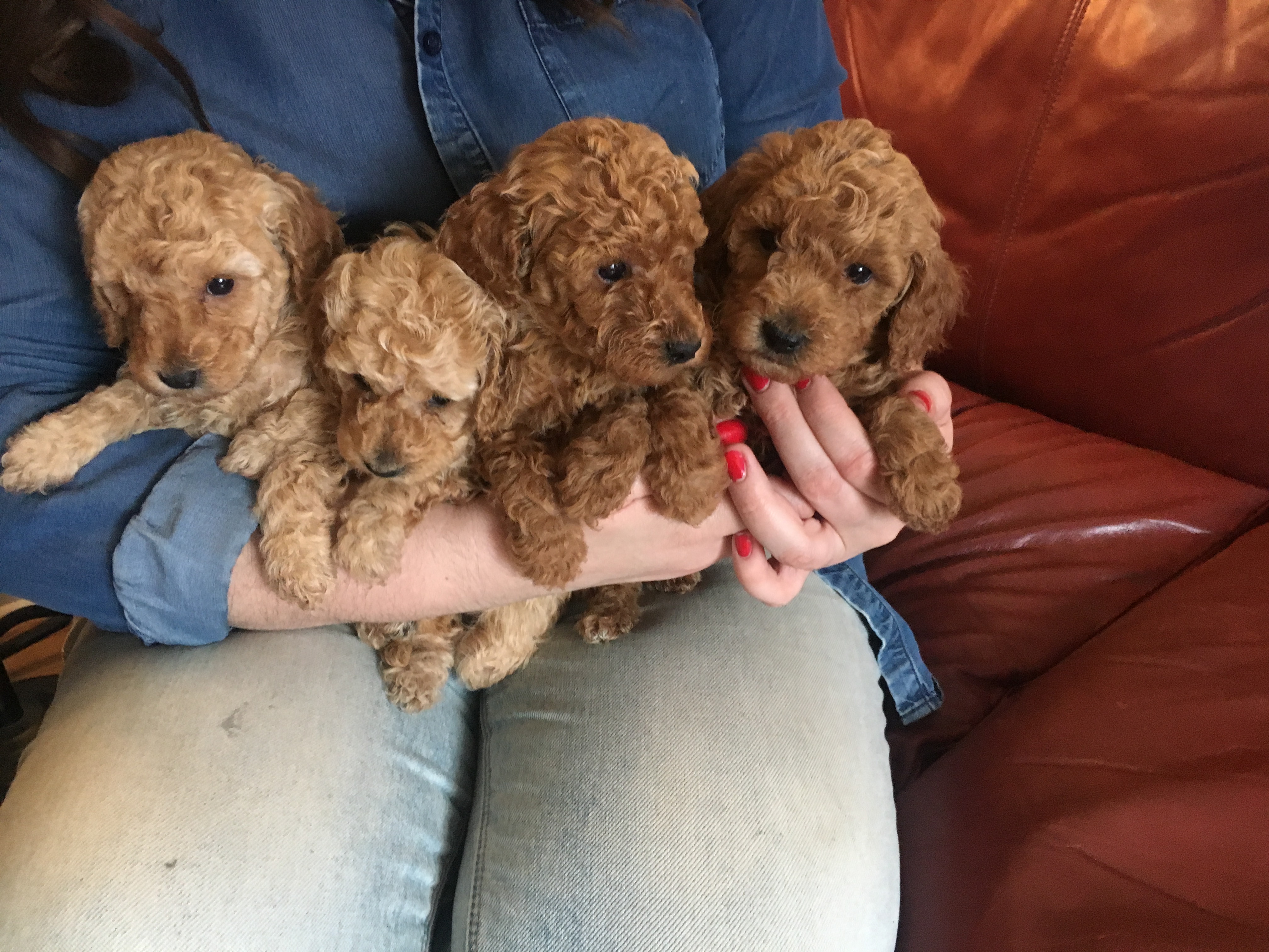 8CD1426C-D209-49E3-B331-04757A8D2246